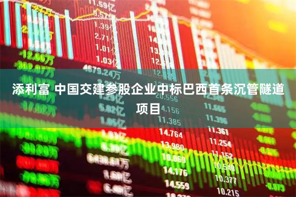 添利富 中国交建参股企业中标巴西首条沉管隧道项目