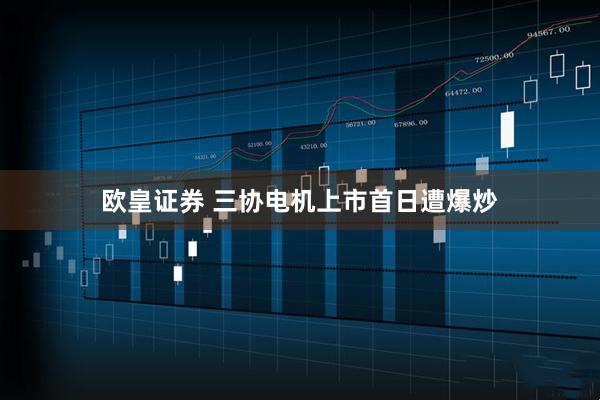 欧皇证券 三协电机上市首日遭爆炒