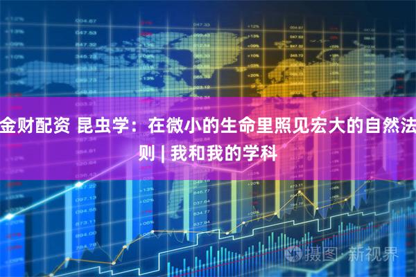 金财配资 昆虫学：在微小的生命里照见宏大的自然法则 | 我和我的学科