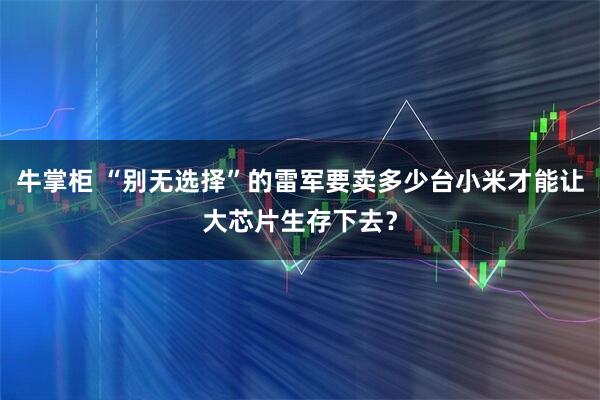 牛掌柜 “别无选择”的雷军要卖多少台小米才能让大芯片生存下去？
