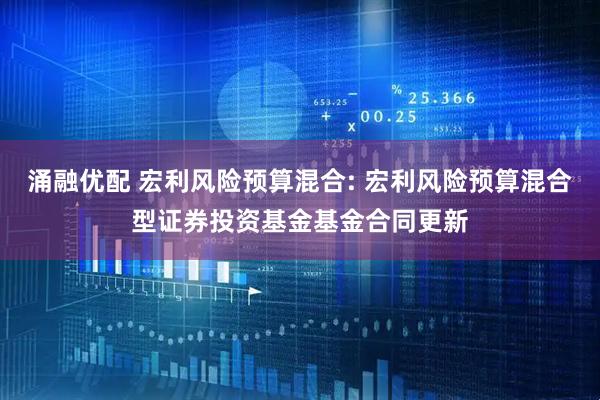 涌融优配 宏利风险预算混合: 宏利风险预算混合型证券投资基金基金合同更新