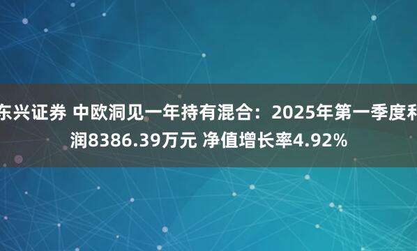 东兴证券 中欧洞见一年持有混合：2025年第一季度利润8386.39万元 净值增长率4.92%